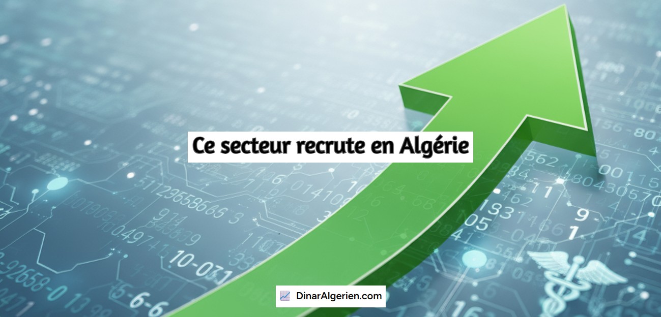 Ce secteur recrute en Algérie