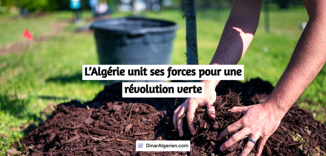 L’Algérie unit ses forces pour une révolution verte