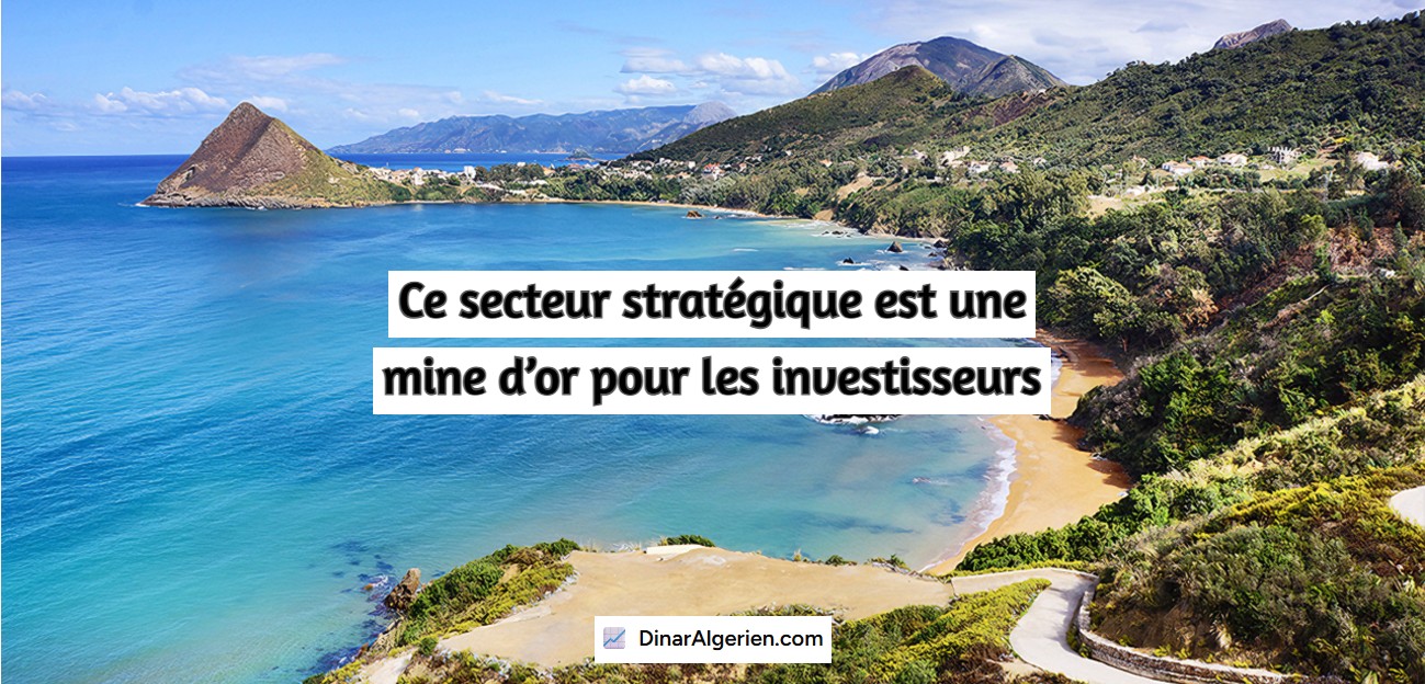 Ce secteur stratégique est une mine d’or pour les investisseurs