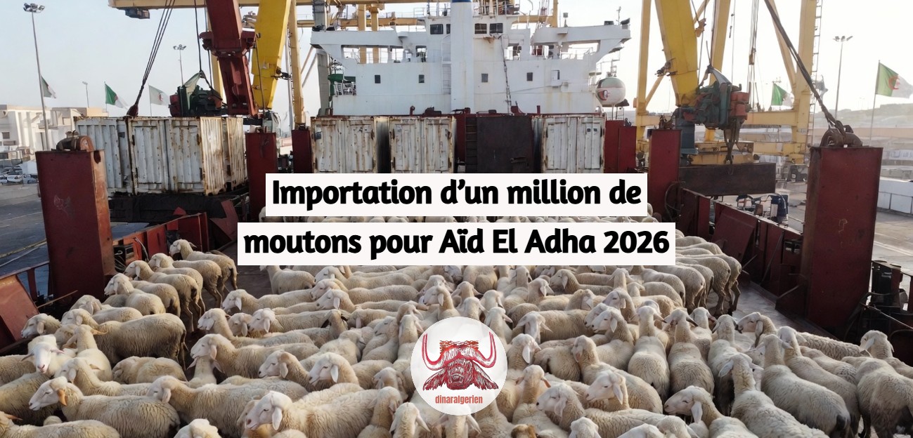 Importation d’un million de moutons pour Aïd El Adha 2026