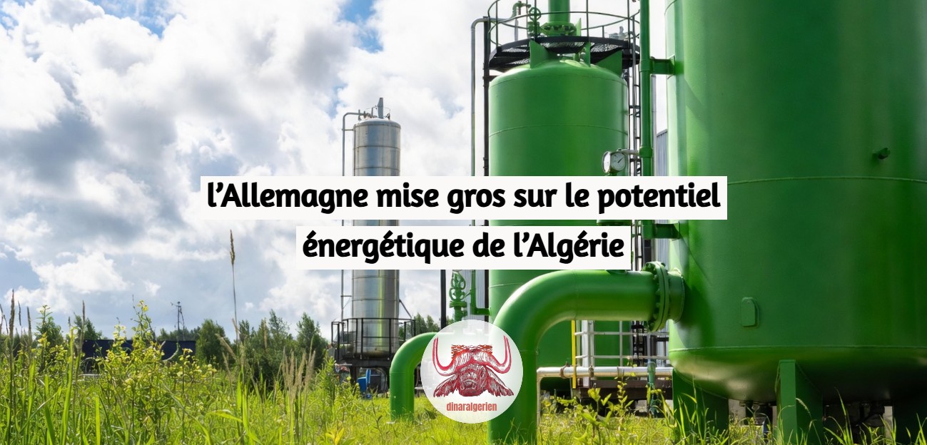 L’Allemagne mise gros sur le potentiel énergétique de l’Algérie