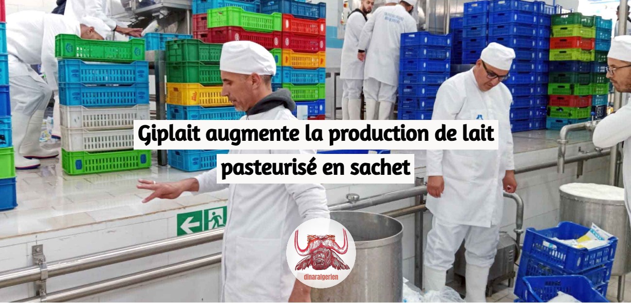 Giplait augmente la production de lait pasteurisé en sachet
