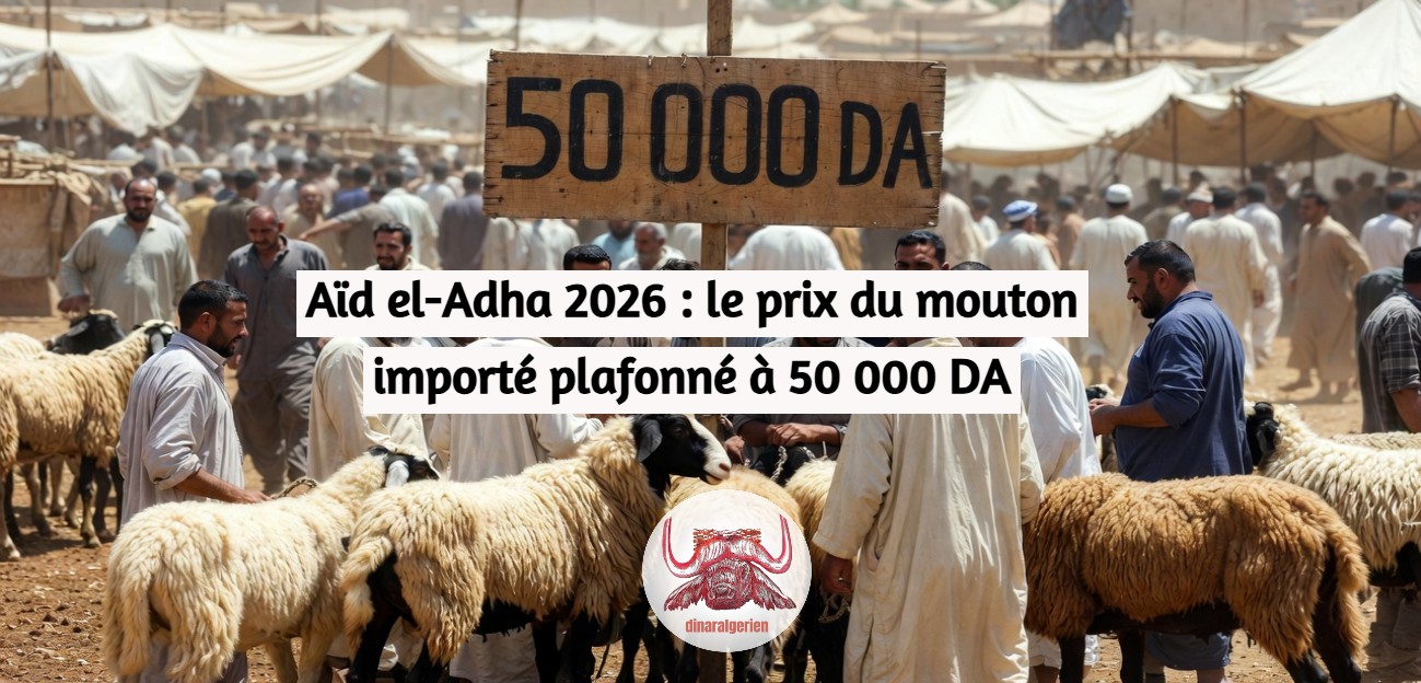 Aïd el-Adha 2026 : le prix du mouton importé plafonné à 50 000 DA
