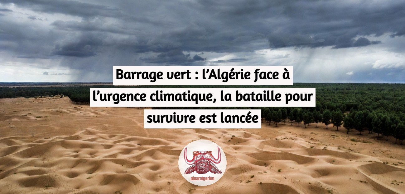 Barrage vert : l’Algérie face à l’urgence climatique, la bataille pour survivre est lancée