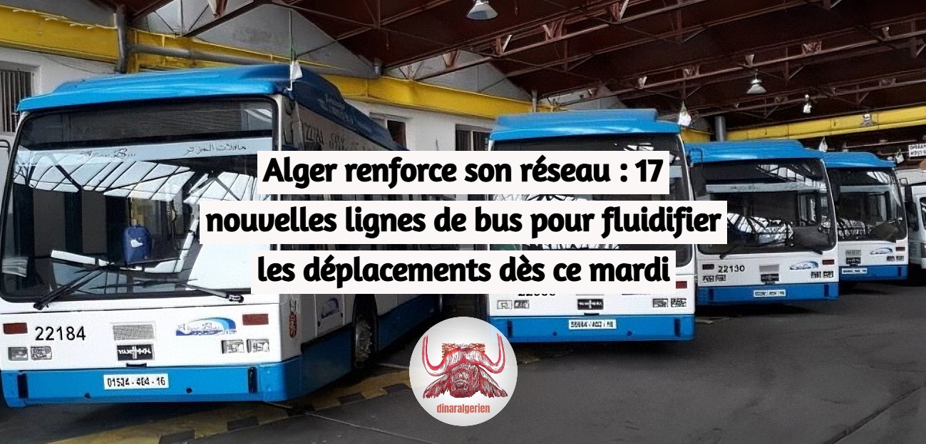Alger renforce son réseau : 17 nouvelles lignes de bus pour fluidifier les déplacements dès ce mardi