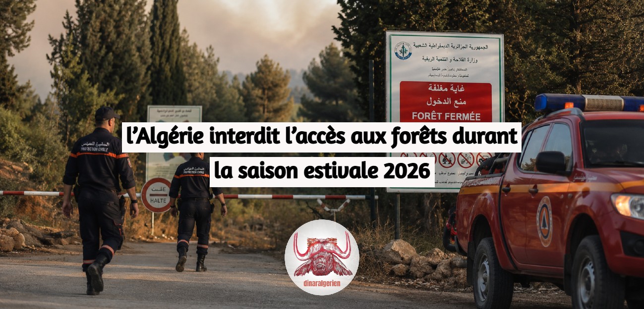 l’Algérie interdit l’accès aux forêts durant la saison estivale 2026