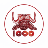 Blog du DinarAlgerien.com 🇩🇿